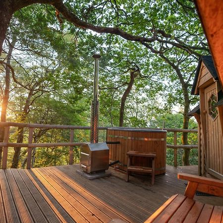 Chestnut Tree House With Hot Tub & Sauna Barmouth Exterior photo