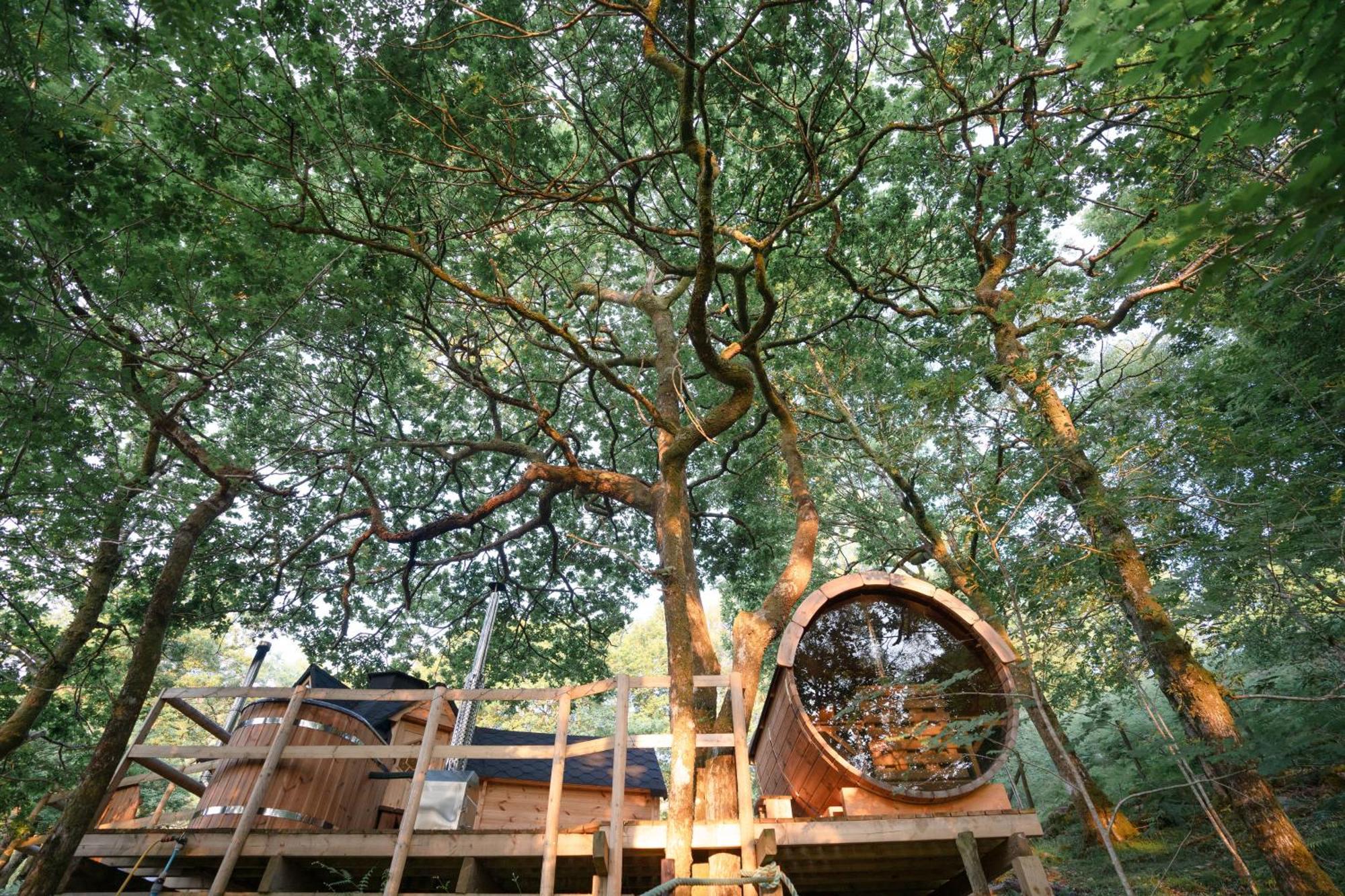 Chestnut Tree House With Hot Tub & Sauna Barmouth Exterior photo